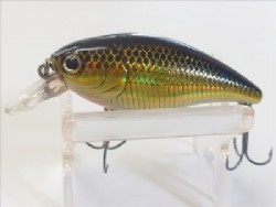 Laser black gold