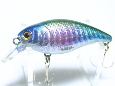 Laser striped shad