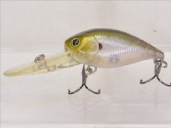 Ghost minnow