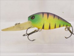 NC tiger