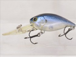 Tennessee shad