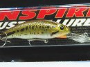 Baby bass (#122) -Package damaged