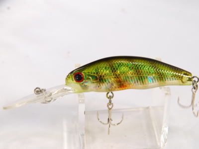 Half skeleton blue gill (#405)