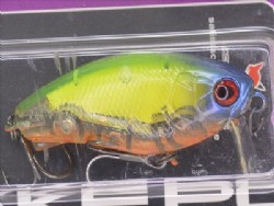 FP lime squash