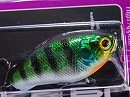 HL Blue gill