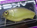 Noike kinbera