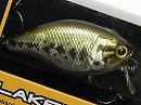 HL Bass