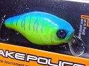 Blue back tiger