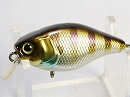 Blue gill