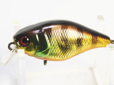 HL Gold gill