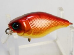 Craw fish