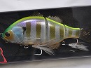 Chart back blue gill