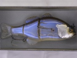 Clear Japan shad