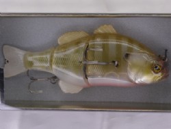 Dying gill