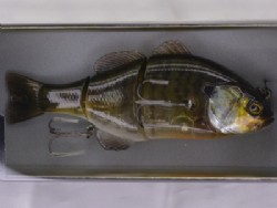 RT ghost gill