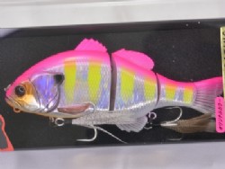 HL visible pink gill