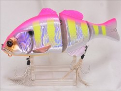 HL visible pink gill