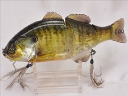 RT ghost gill