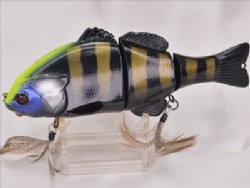 Visibleblack gill