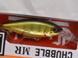 Champagne gold gill