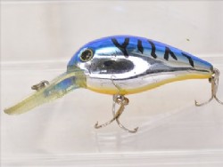 Blue tiger