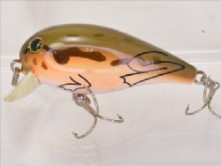 Brown frog