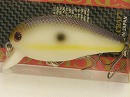 TGB Mat cameleon back