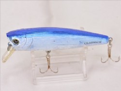 Blue back