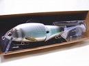 Blue shad