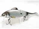 Blue shad