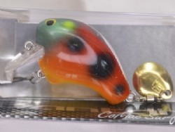 Lady bug