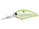 Champion shad