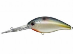 Natural shad (#62)