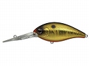 Golden shiner