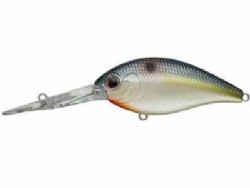 Natural shad (#62)