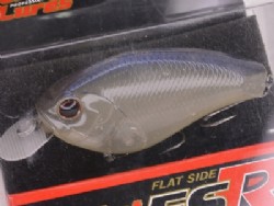 Reservoir shad (#247)