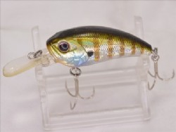 baby gill