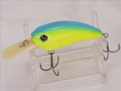 Blue back chart N (Bone model)