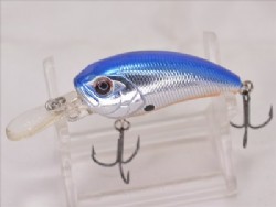 Blue back chrome orange belly
