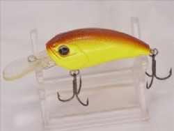 Brown back chart