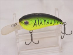 Mat hot tiger