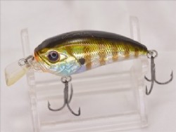 Baby gill