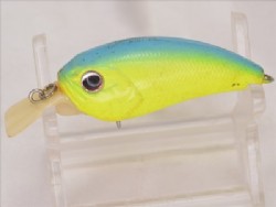 Blue back chart N (Bone model)