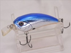 Blue back chrome orange belly