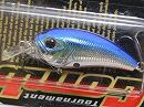Blue back chrome orange belly (#94)