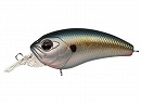 Damonde shad (#257)