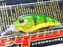 Perch