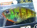 Magma blue gill