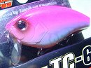 Wild pink (#218)