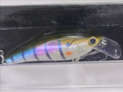 Hologram flashing blue gill